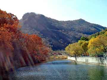 管家婆黑白马报图库，小甜甜 台湾